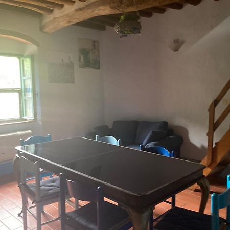 Agriturismo Le Colline Montescudaio Eksteriør bilde