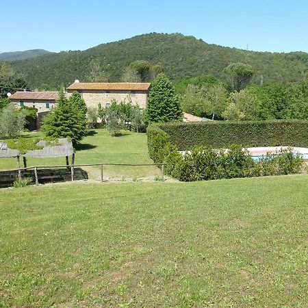 Agriturismo Le Colline Montescudaio Rom bilde
