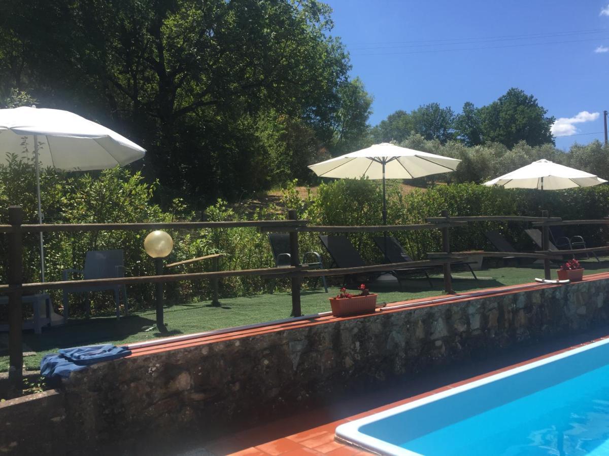 Agriturismo Le Colline Montescudaio Eksteriør bilde