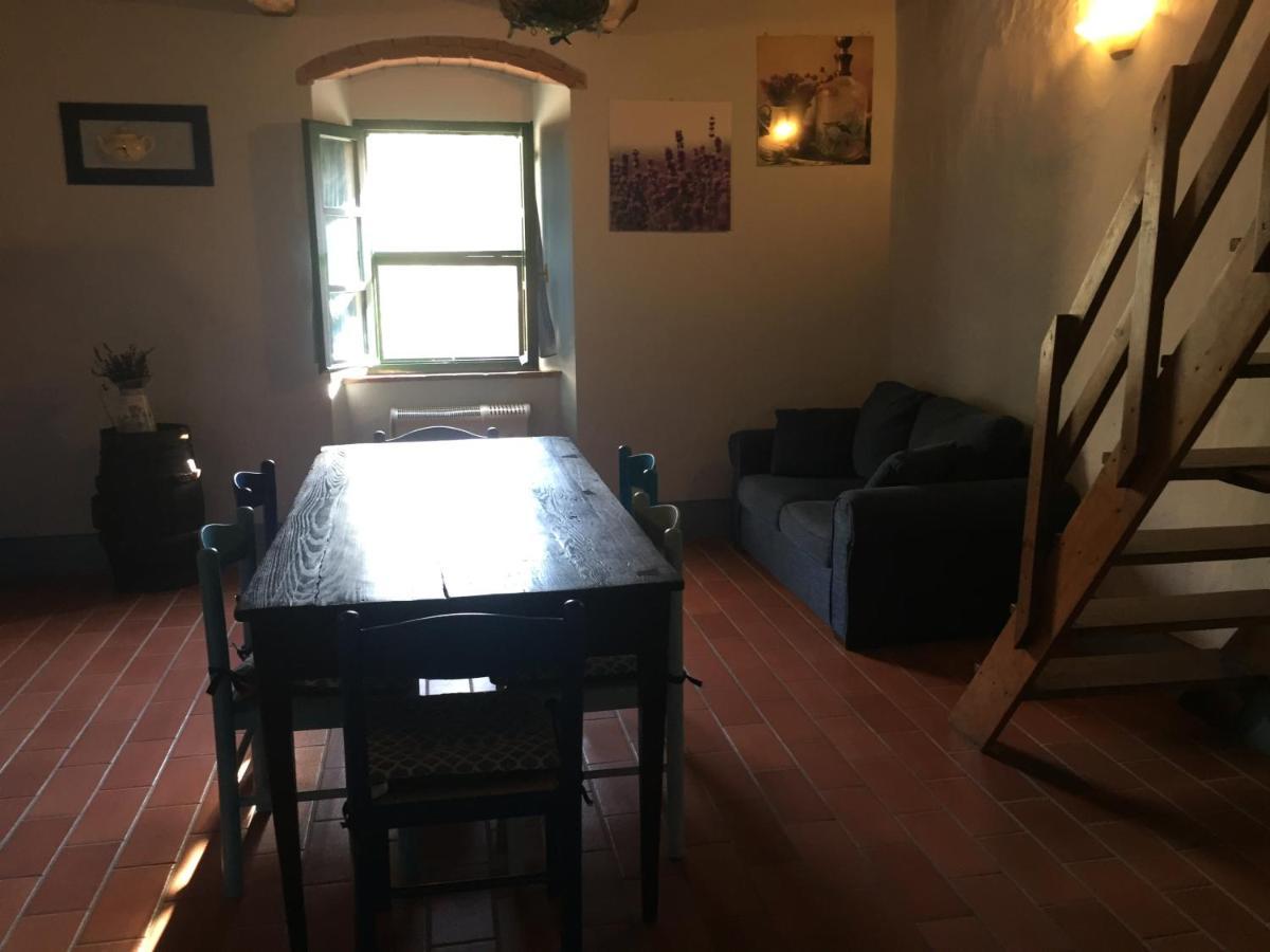 Agriturismo Le Colline Montescudaio Eksteriør bilde