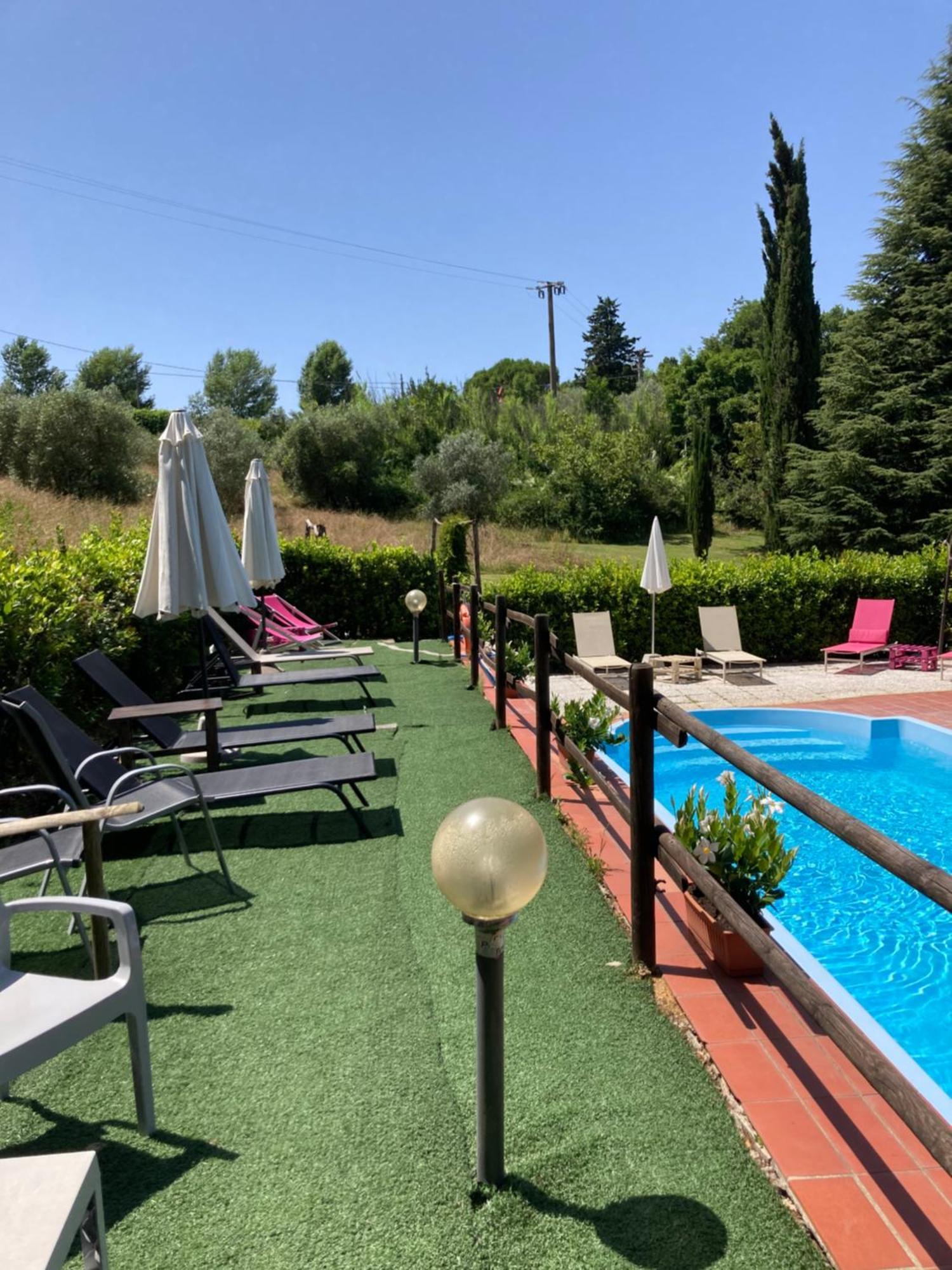Agriturismo Le Colline Montescudaio Eksteriør bilde