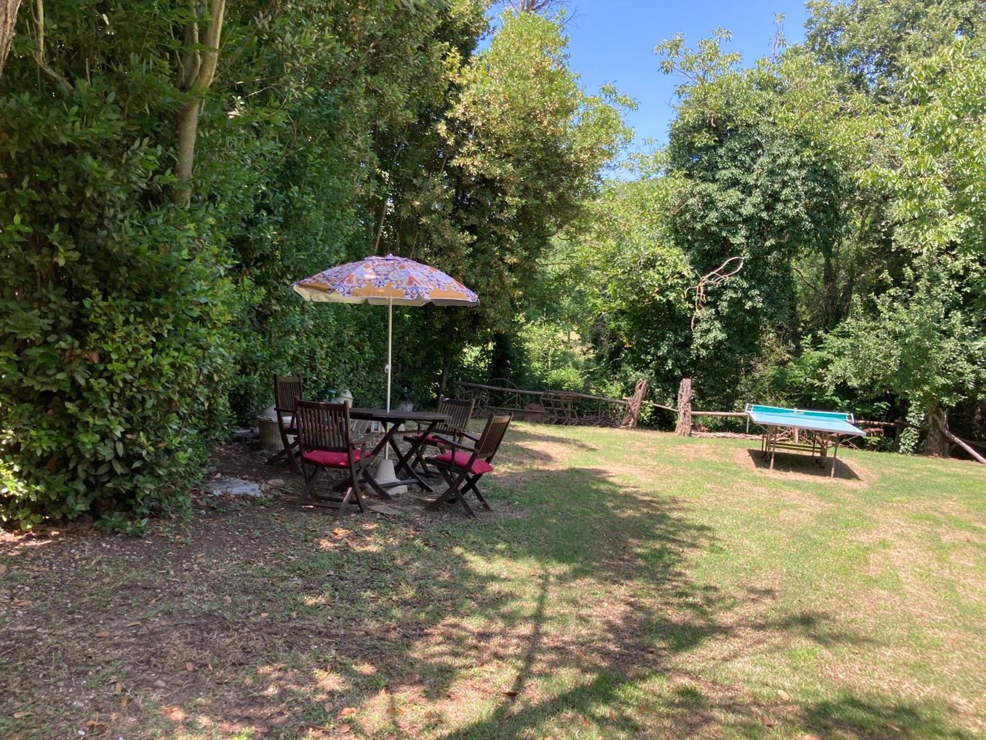Agriturismo Le Colline Montescudaio Eksteriør bilde