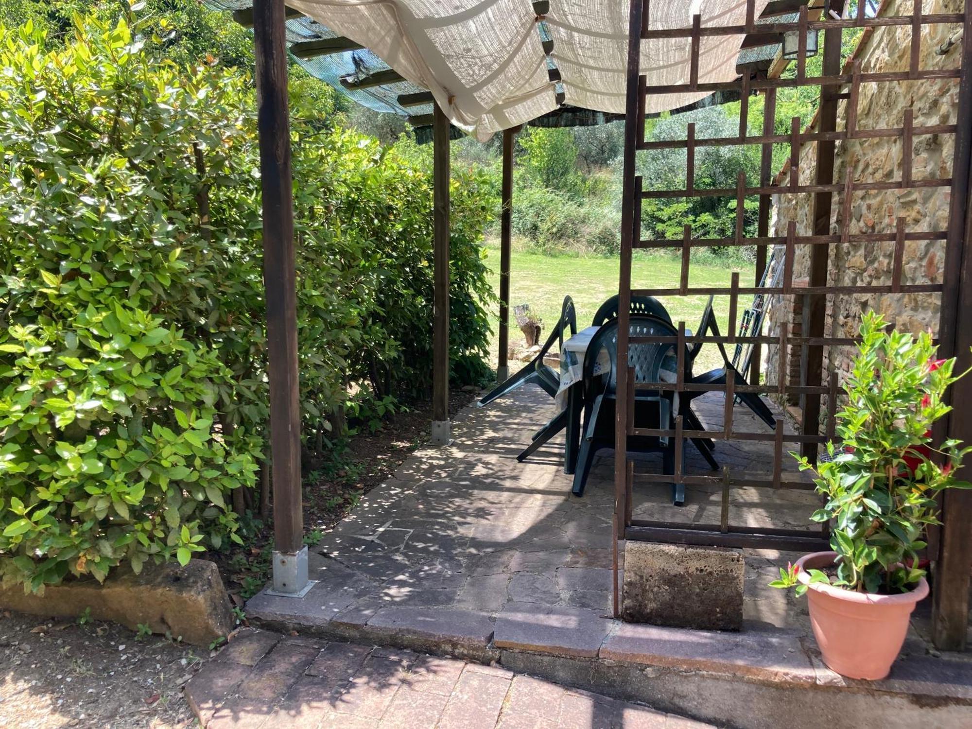 Agriturismo Le Colline Montescudaio Eksteriør bilde