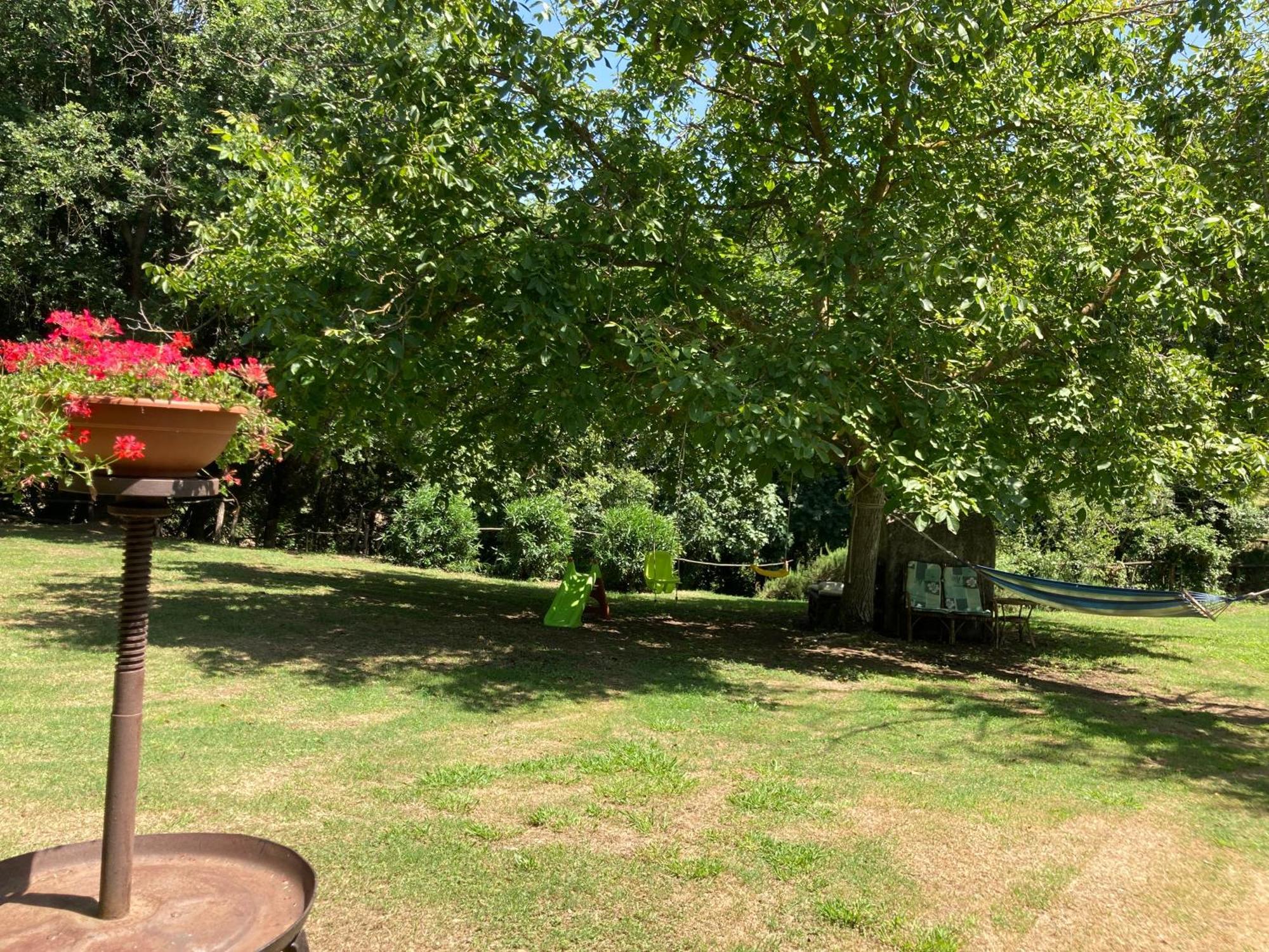 Agriturismo Le Colline Montescudaio Eksteriør bilde