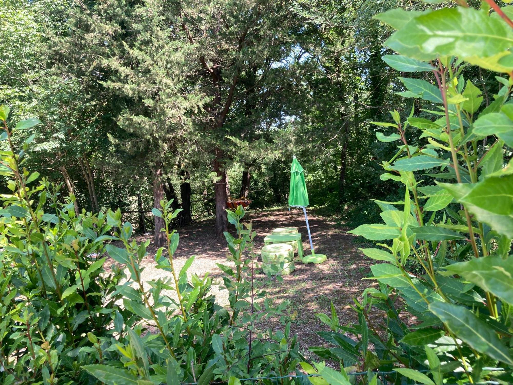 Agriturismo Le Colline Montescudaio Eksteriør bilde