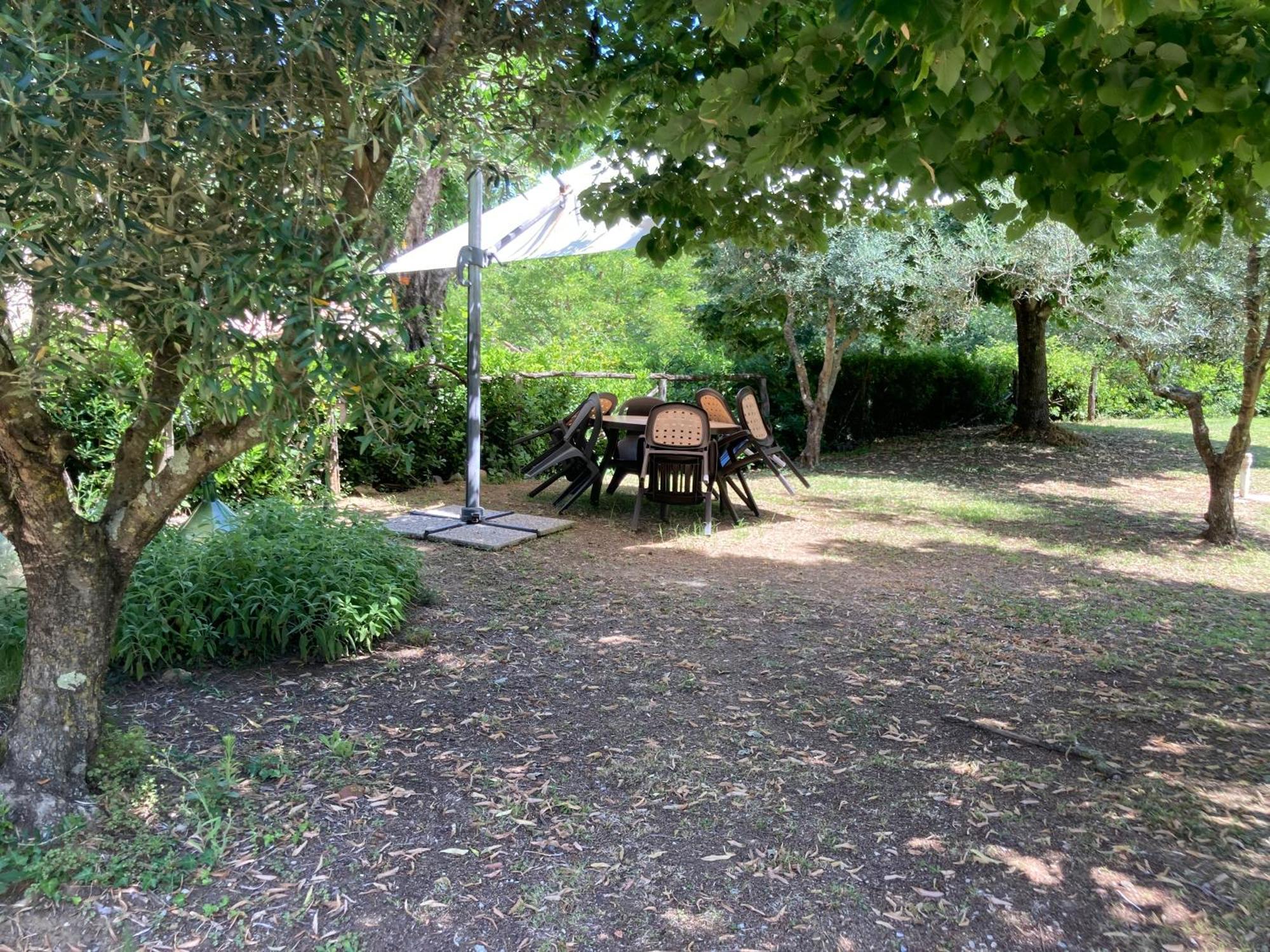 Agriturismo Le Colline Montescudaio Eksteriør bilde