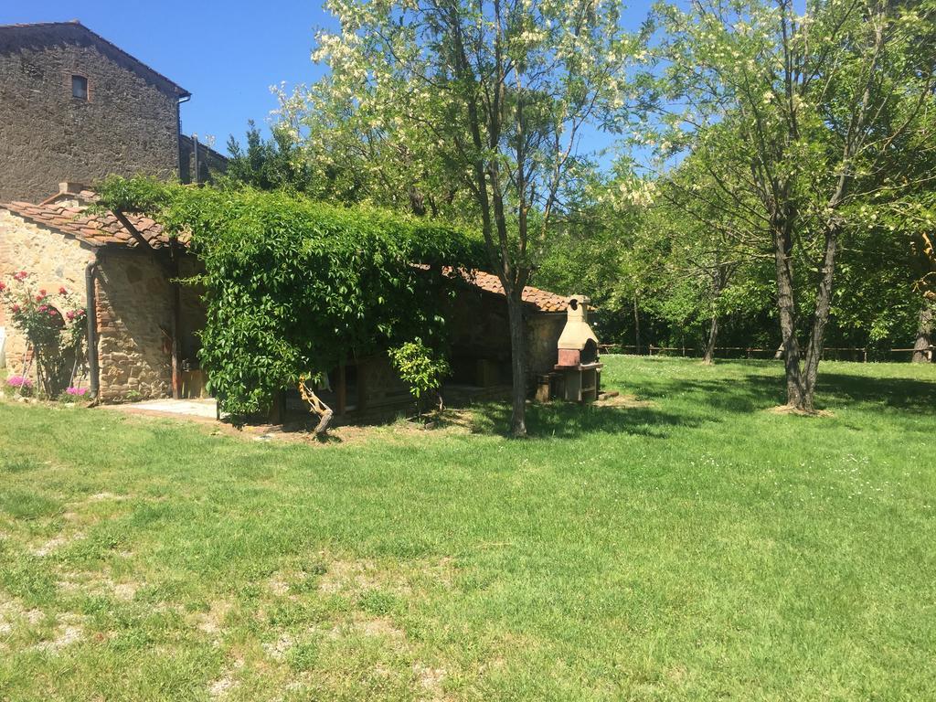 Agriturismo Le Colline Montescudaio Eksteriør bilde