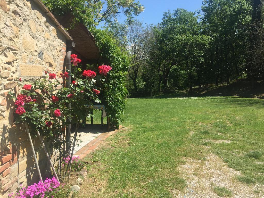 Agriturismo Le Colline Montescudaio Eksteriør bilde