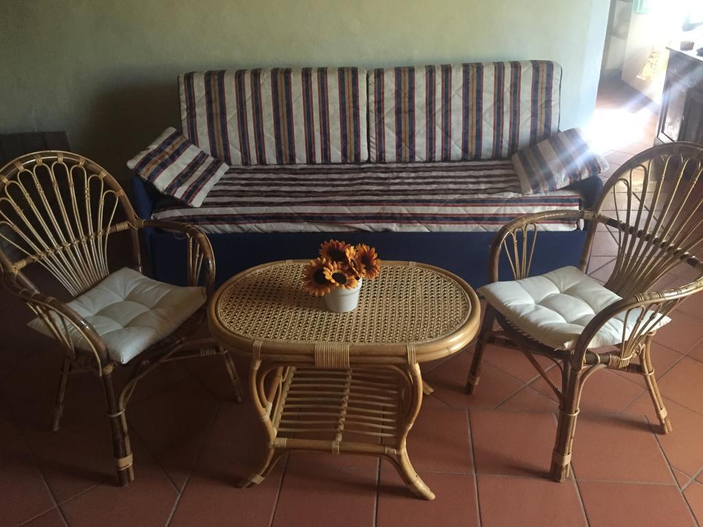 Agriturismo Le Colline Montescudaio Eksteriør bilde