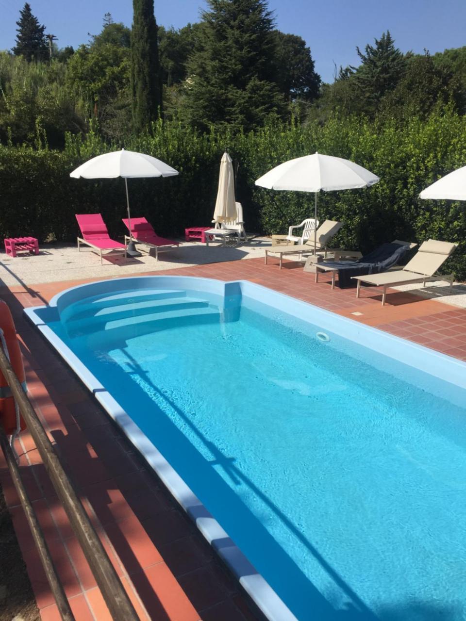 Agriturismo Le Colline Montescudaio Eksteriør bilde