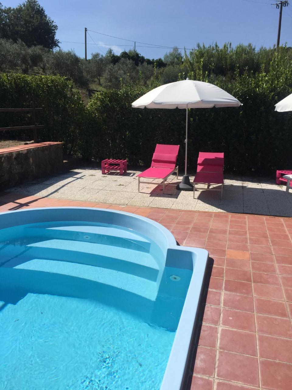 Agriturismo Le Colline Montescudaio Eksteriør bilde