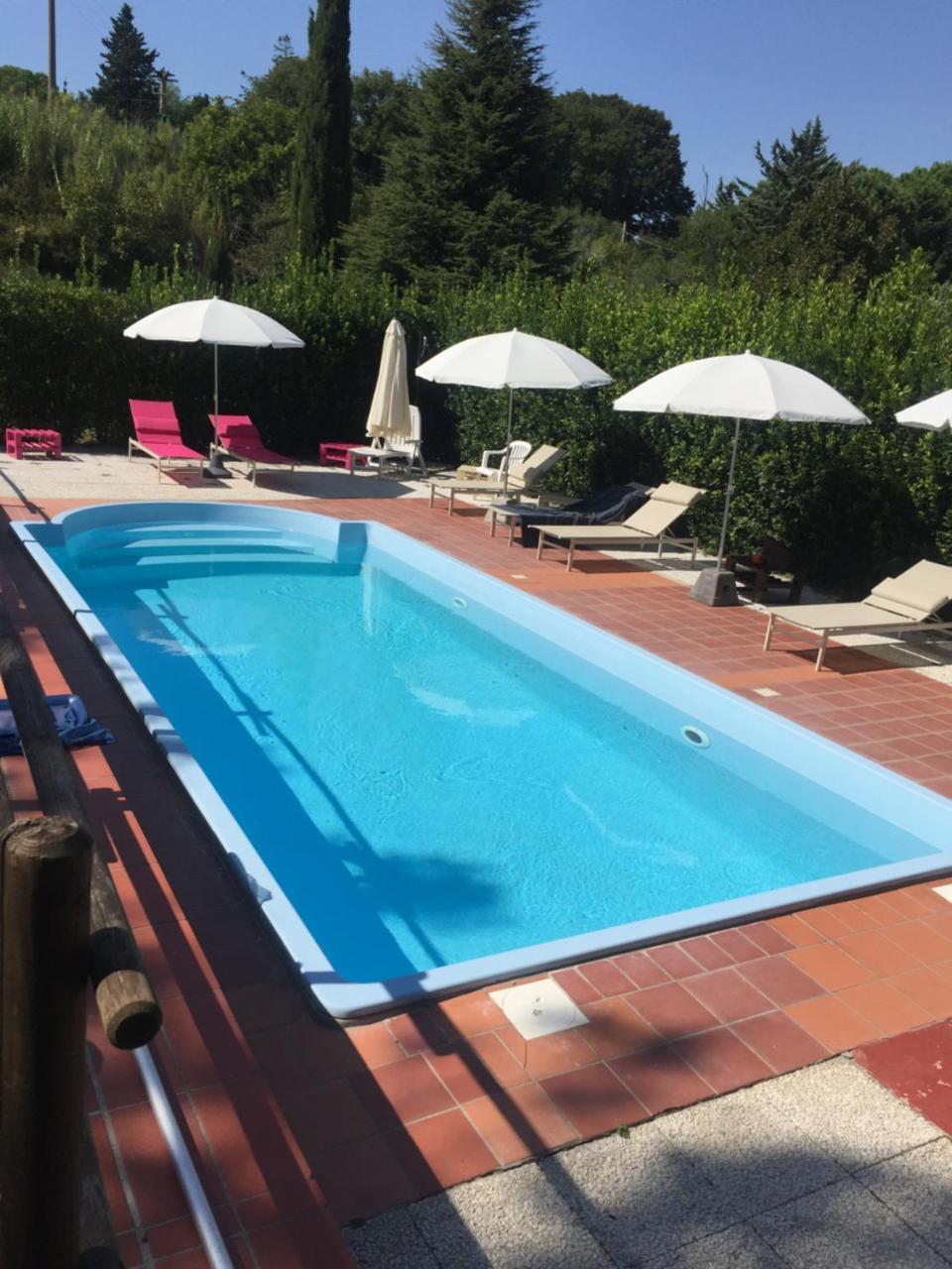 Agriturismo Le Colline Montescudaio Eksteriør bilde